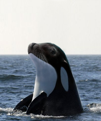 Photoshop Design by krsartworks for DesignCrowd (Community Contests) | Design #8947960