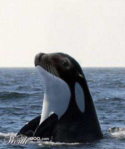 Photoshop Design by krsartworks