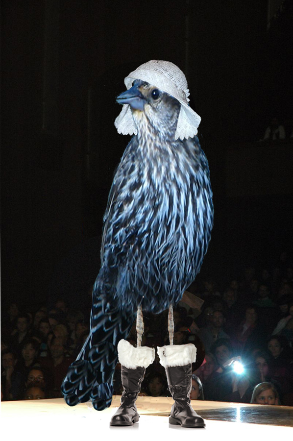 Photoshop Design by snakebit for DesignCrowd (Community Contests) | Design #8951268