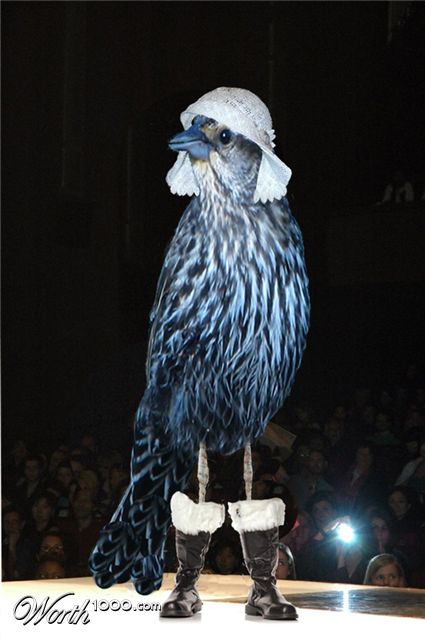 Photoshop Design by snakebit