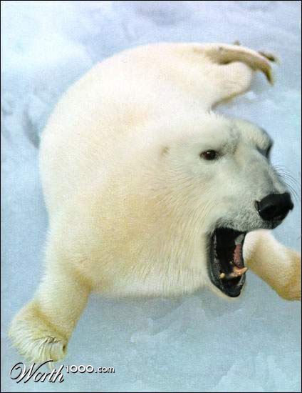 Photoshop Design by arbieferris