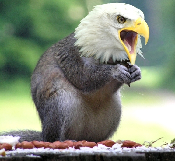 Design Photoshop par GutsAndGlory pour DesignCrowd (Community Contests) | Design #8947911