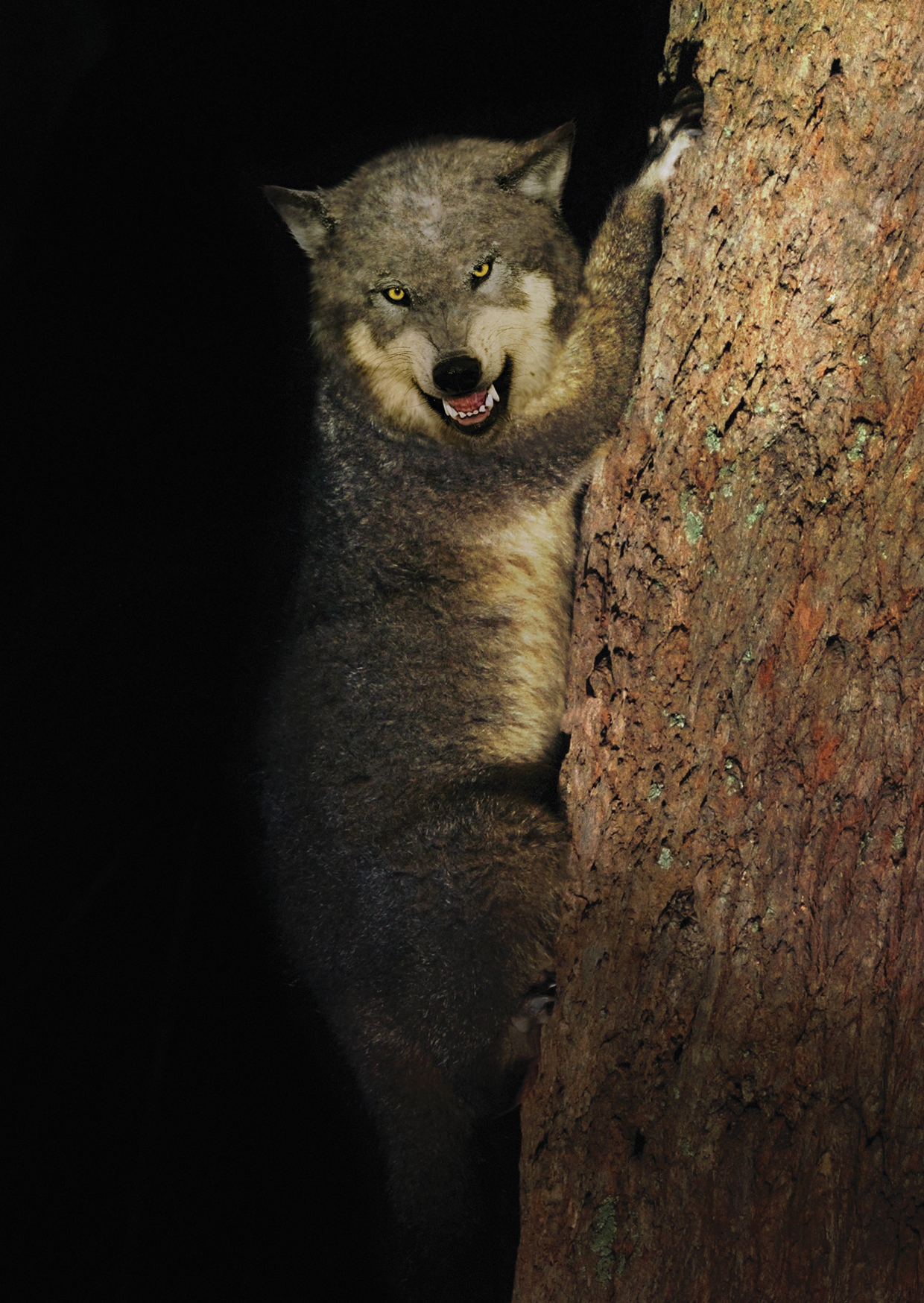 Design Photoshop par podesta67 pour DesignCrowd (Community Contests) | Design #8947858