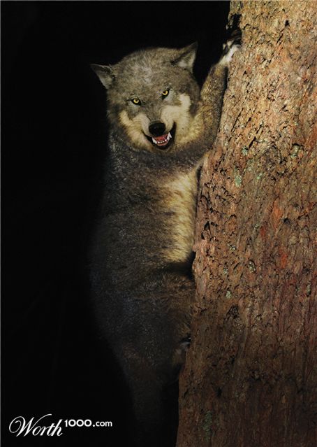 Photoshop Design by podesta67