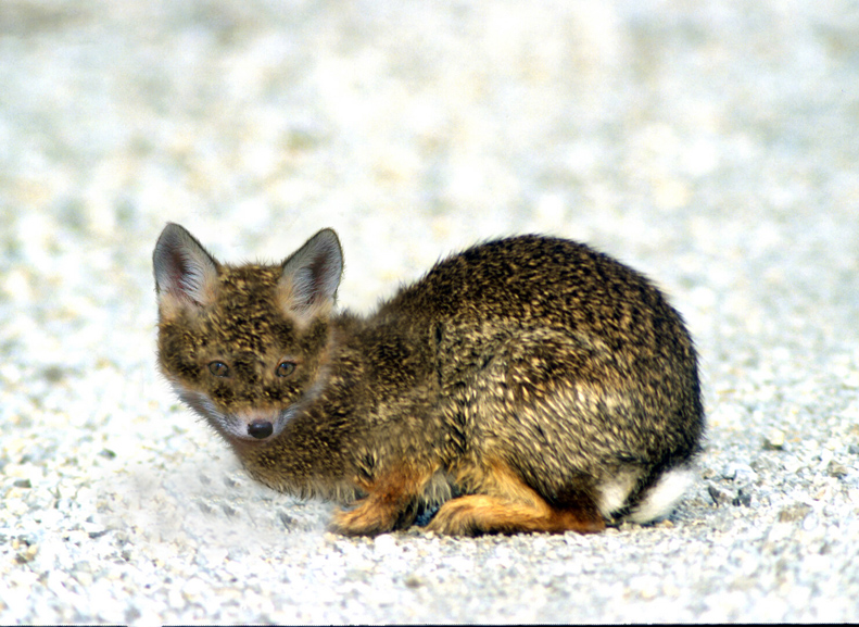 Photoshop Design by r7t5 for DesignCrowd (Community Contests) | Design #8947840