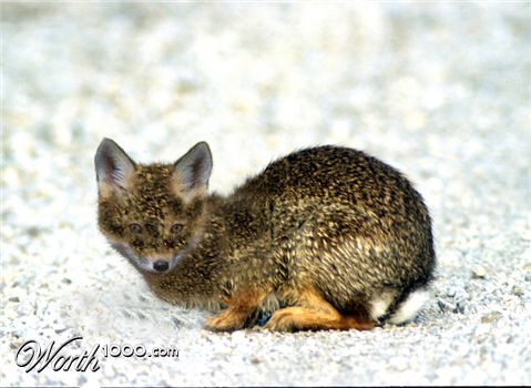 Photoshop Design by r7t5