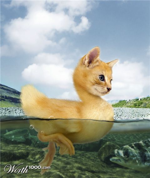 Photoshop Design by PixelTreason