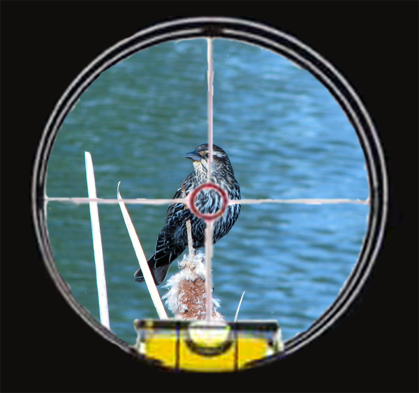 Diseño de Photoshop por THESHADOWMASTER77 para DesignCrowd (Community Contests) | Diseño #8951319