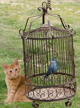 Photoshop Design by GutsAndGlory for DesignCrowd (Community Contests) | Design #8951273