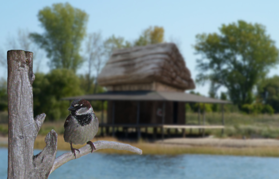 Photoshop Design by Monica for DesignCrowd (Community Contests) | Design #8954749