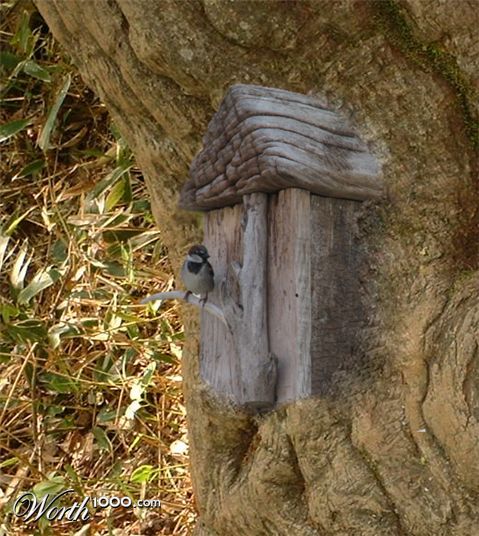 Photoshop Design by rayhyde