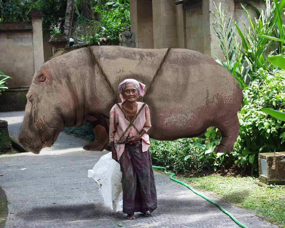 Photoshop Design by rayhyde for DesignCrowd (Community Contests) | Design #8953188