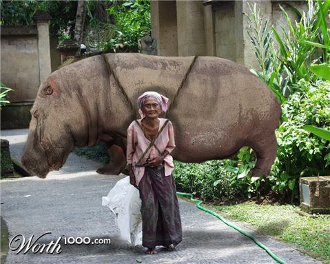 Photoshop Design by rayhyde