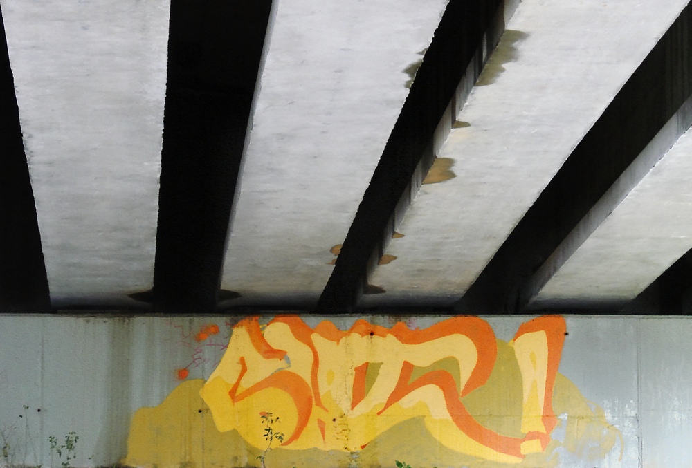 Fotografie von darynman für DesignCrowd (Community Contests) | Design #8950969