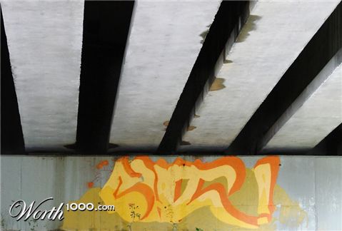 Photography by darynman