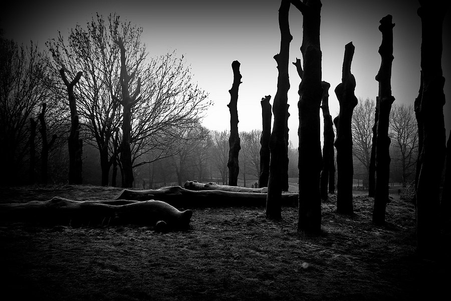 Photography by Jaap54 for DesignCrowd (Community Contests) | Design #8951288