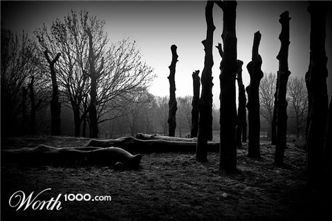Photography by Jaap54