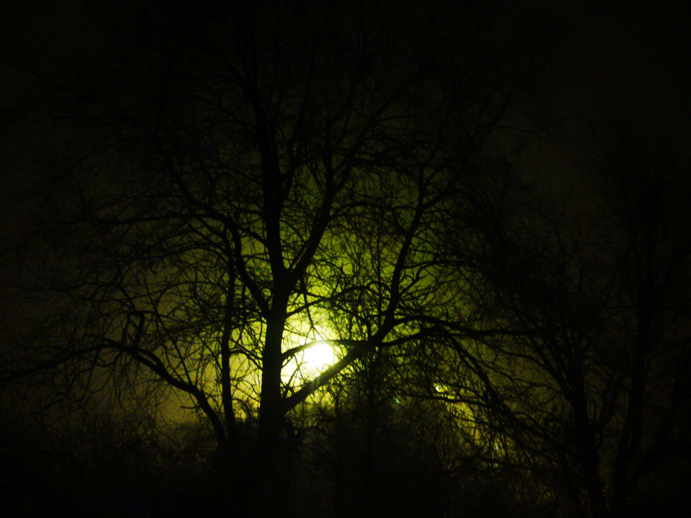 Fotografie von jms1289 für DesignCrowd (Community Contests) | Design #8955938