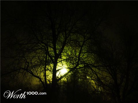 Photography by jms1289