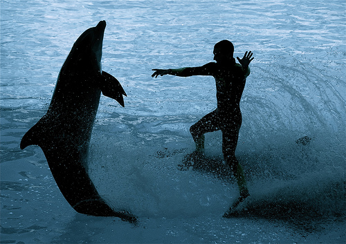 Fotografía por door101 para DesignCrowd (Community Contests) | Diseño #8955908