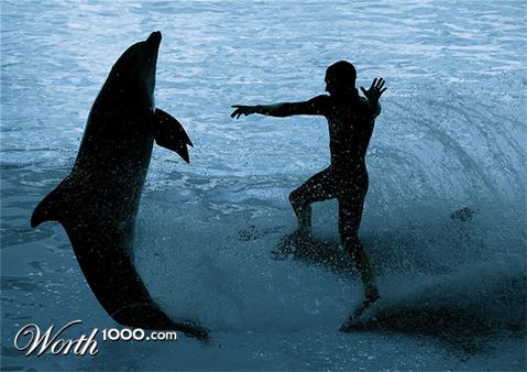 Photography by door101