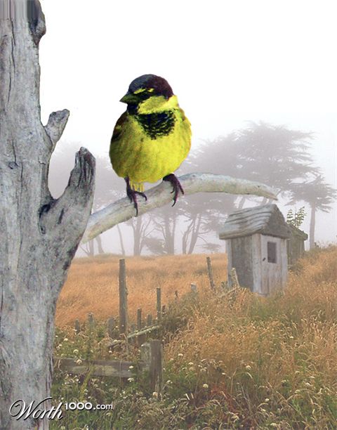 Photoshop Design by Rubees