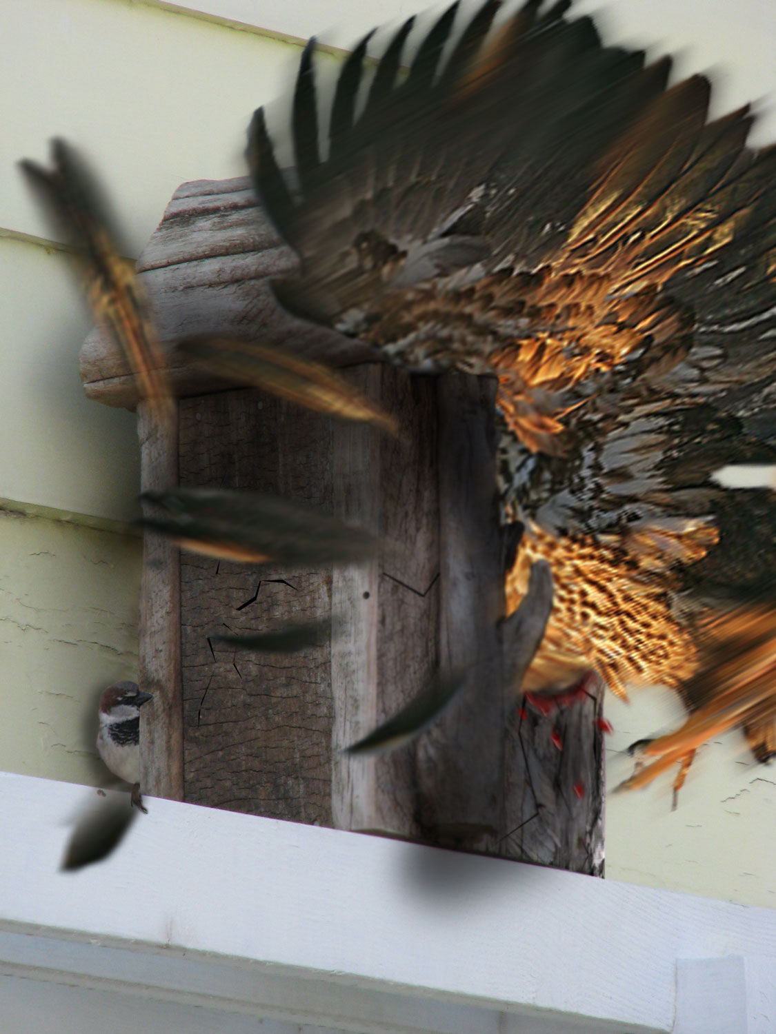 Photoshop Design by castagnes for DesignCrowd (Community Contests) | Design #8954904