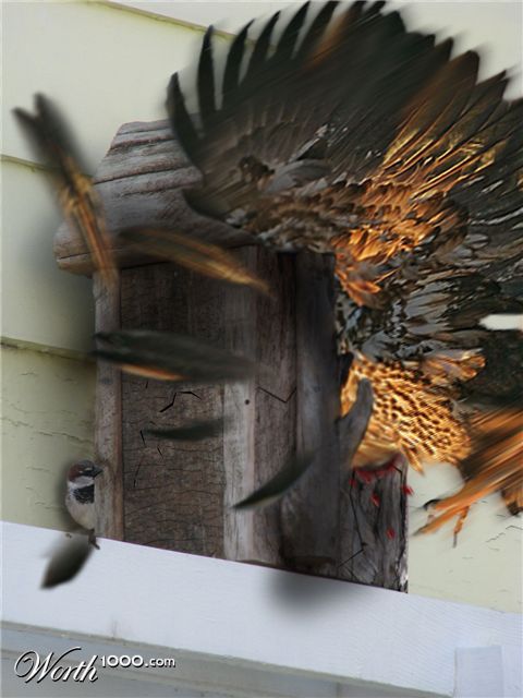 Photoshop Design by castagnes