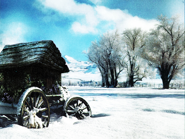 Diseño de Photoshop por xxrainbowxx para DesignCrowd (Community Contests) | Diseño #8954879