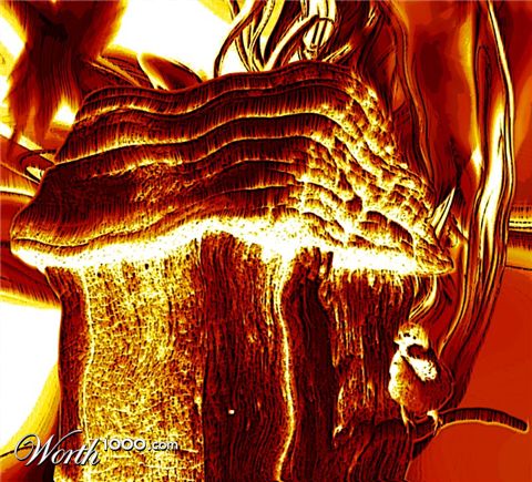 Photoshop Design by DukeBlueMH