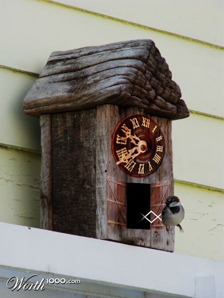 Photoshop Design by GutsAndGlory