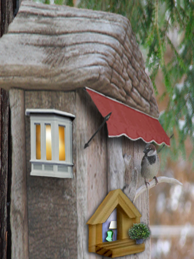 Photoshop Design by janefrog for DesignCrowd (Community Contests) | Design #8954954