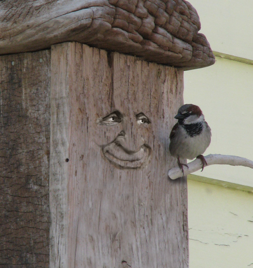 Photoshop-Design von krackerDave für DesignCrowd (Community Contests) | Design #8954966