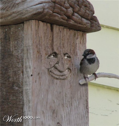 Photoshop Design by krackerDave