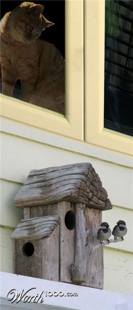 Photoshop Design by LuckyStrikeRED