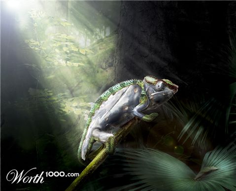Photoshop Design by FuNLucky