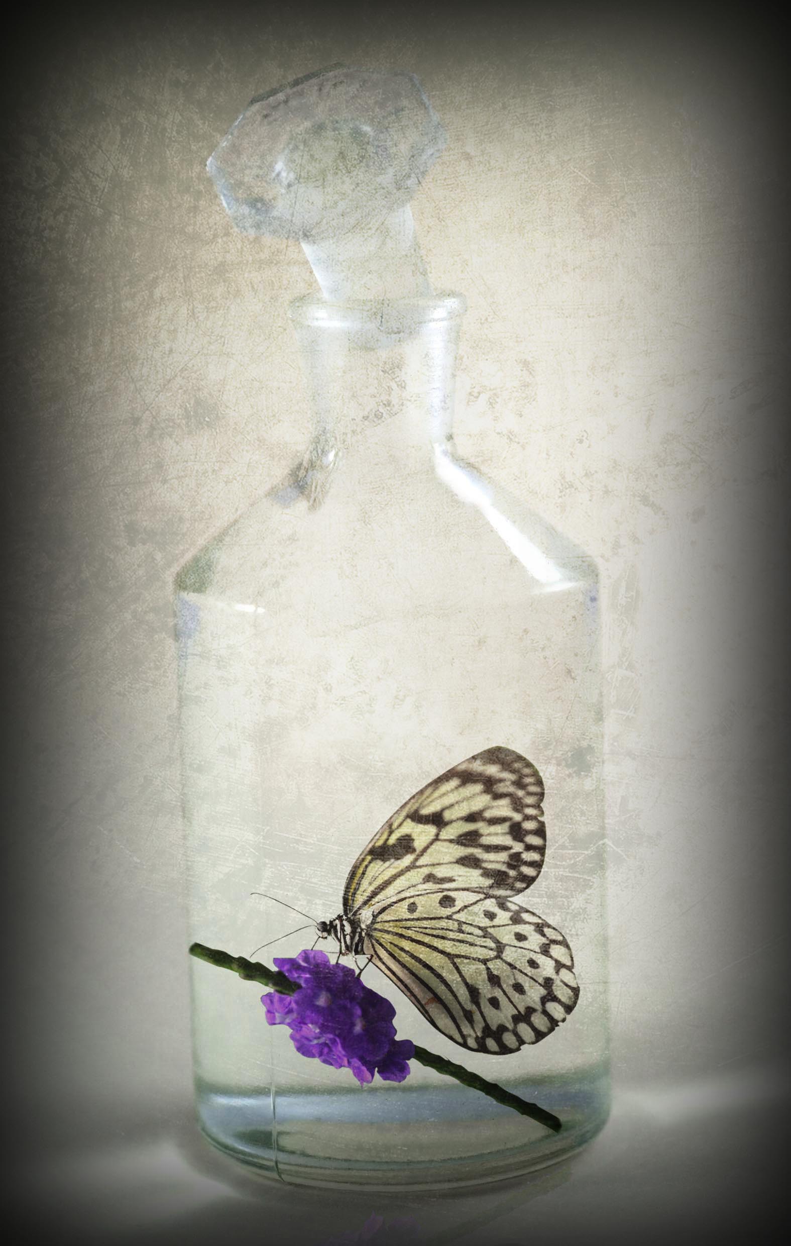 Photoshop Design by FuryMay for DesignCrowd (Community Contests) | Design #8955010