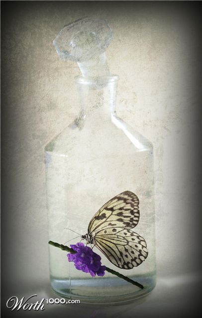 Photoshop Design by FuryMay