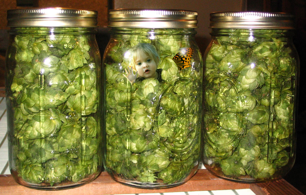 Photoshop Design by redcats for DesignCrowd (Community Contests) | Design #8955020