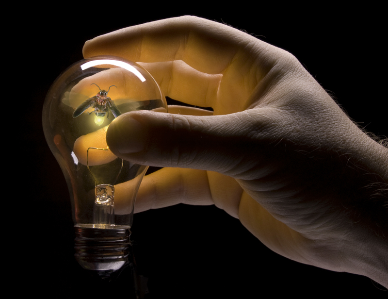 Photoshop-Design von howLOcanyaGO für DesignCrowd (Community Contests) | Design #8955003