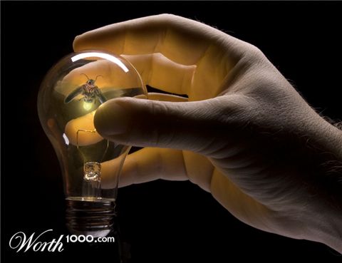 Photoshop Design by howLOcanyaGO