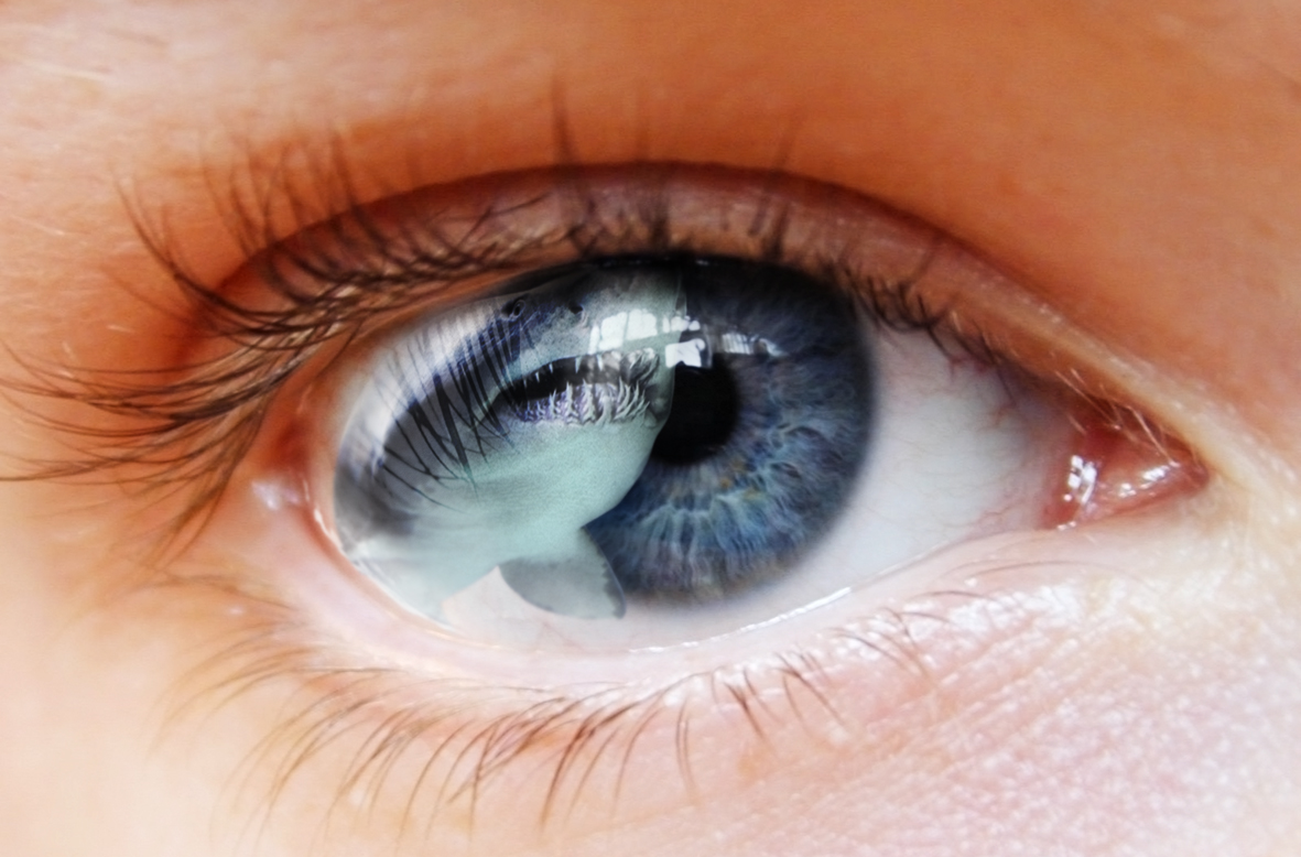 Photoshop Design by Sergej10 for DesignCrowd (Community Contests) | Design #8955064