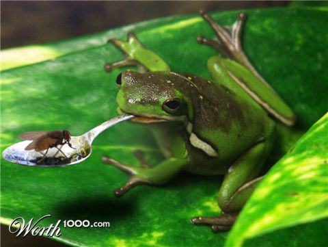 Photoshop Design by bicyclewilli