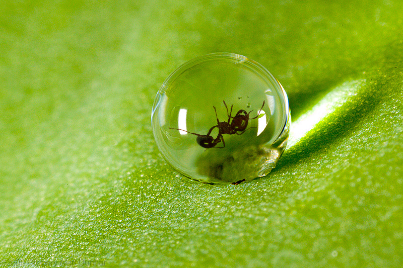 Photoshop-Design von joemh1810 für DesignCrowd (Community Contests) | Design #8955059