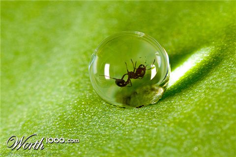 Photoshop Design by joemh1810