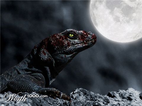 Photoshop Design by TommeC