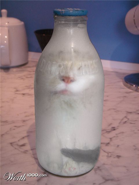 Photoshop Design by Rungue