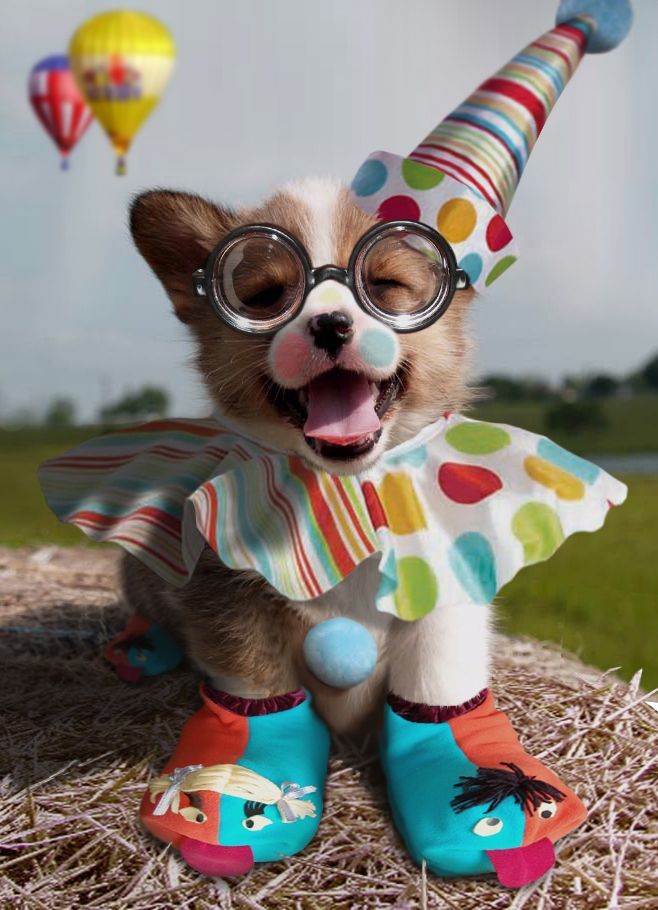 Photoshop Design by Funchop for DesignCrowd (Community Contests) | Design #8946541