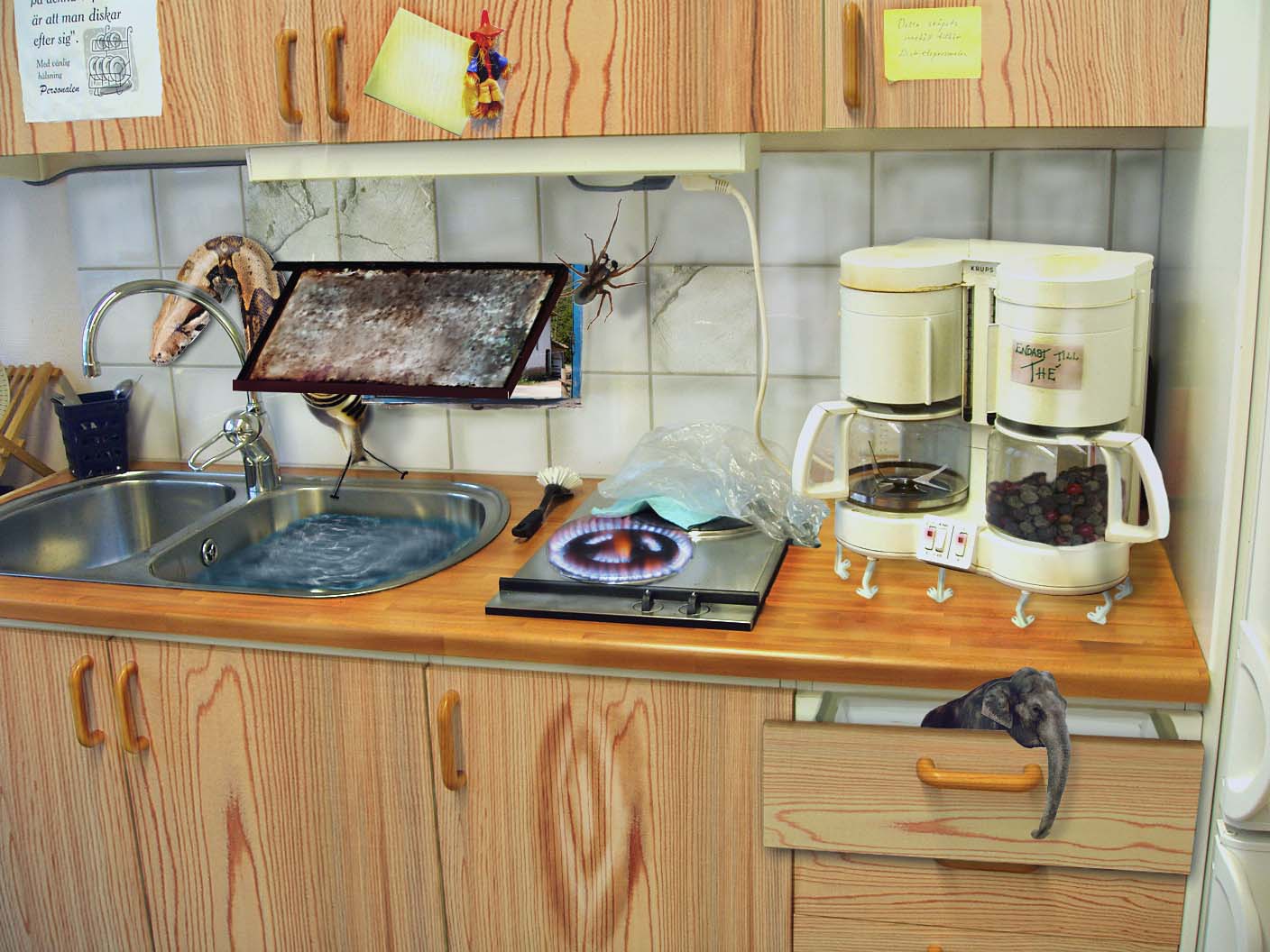 Photoshop Design by gdsworld for DesignCrowd (Community Contests) | Design #8952148