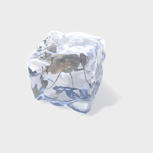 Photoshop Design by INMATErex for DesignCrowd (Community Contests) | Design #8955124